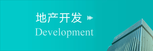 地產(chǎn)開發(fā)
